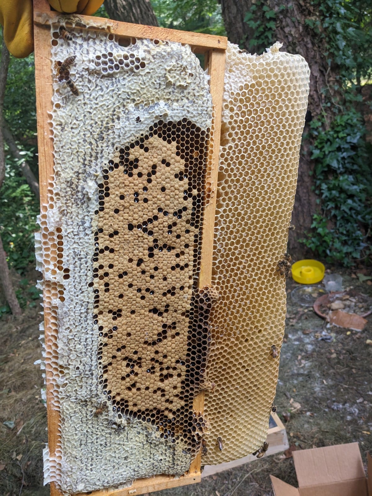 A honeycomb frame being inspected outdoors