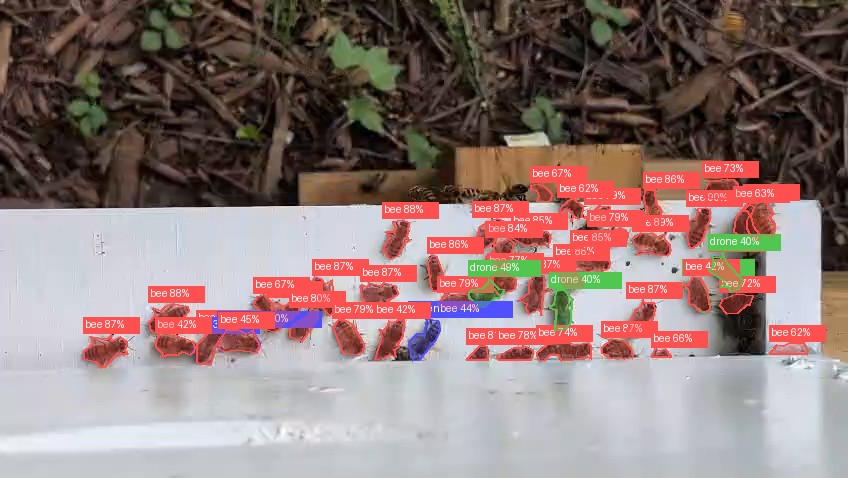 The same hive entrance with experimental detection boxes over individual bees